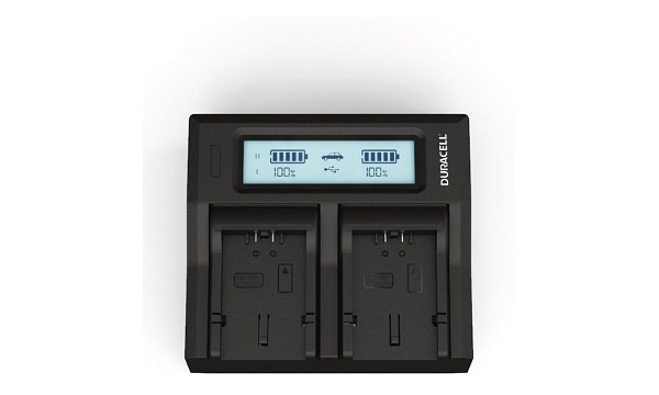 CGR-S006A/1B Panasonic CGA-S006 Dual Battery Charger