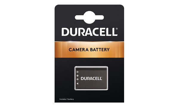 Cyber-shot DSC-RX1R II Battery